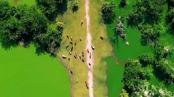 فیلم زیبایی‌های تالاب استیل آستارا