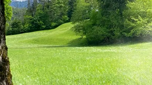 بزرگ فکر کن، قوی عمل کن