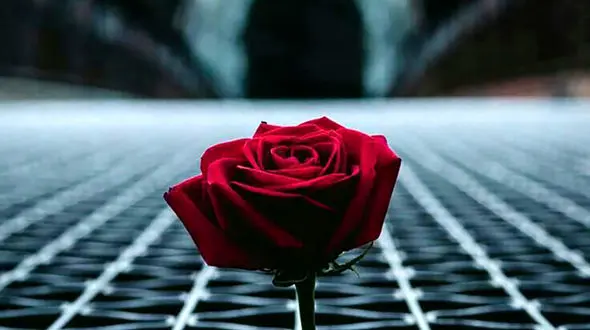 بی آبرویی های زهره 16 ساله در مشهد / سرنوشت تلخ دختر فراری