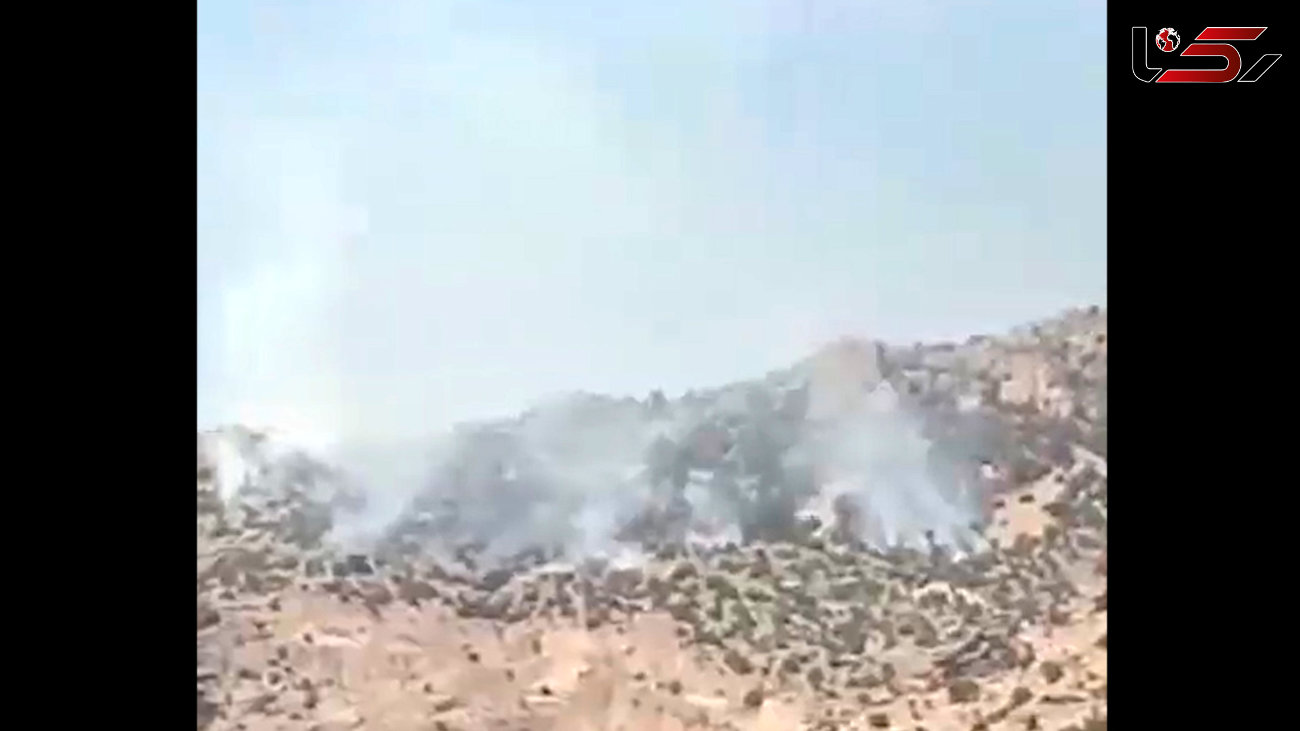 فیلم تلخ/ آتش در کوه «حاتم» زاگرس توسط قاچاقچیان ذغال 