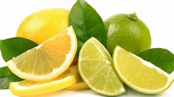 راهکار نگهداری لیمو ترش تازه تا مدت های طولانی