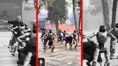 فیلم تمرین رزمی ربات‌ها به سبک شائولین