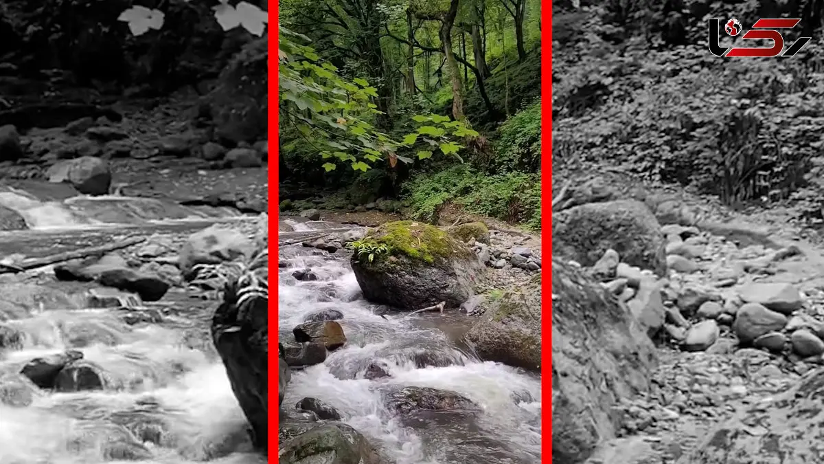 فیلم رودخانه پرآب سیاهکلرود