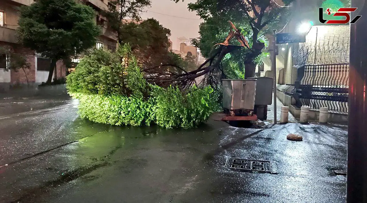 طوفان و رعد و برق در تهران همچنان ادامه دارد 