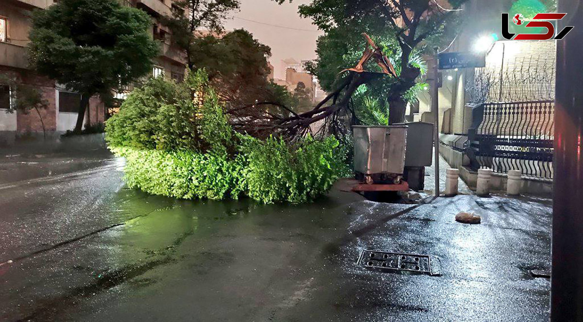  طوفان و رعد و برق در تهران همچنان ادامه دارد 