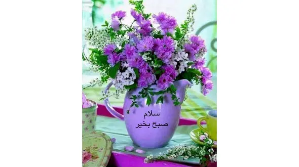 فال ابجد امروز / 3 مهر + فیلم