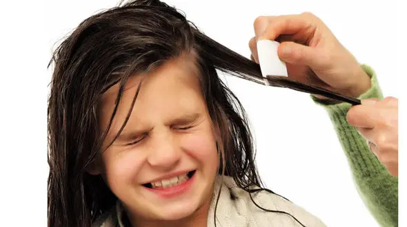 درمان های سنتی برای رفع شپش نادرست است