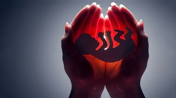 1400 جنین در ایران سقط شدند / پرونده هایشان در حال بررسی است 