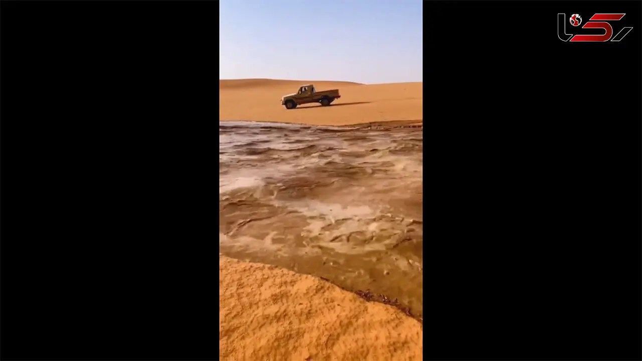 ببینید/ صحرای ربع الخالی عربستان بعد از بارش باران