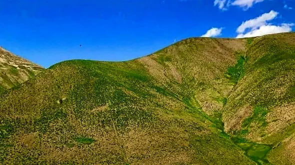 فال ابجد محشر 6 خرداد + فیلم