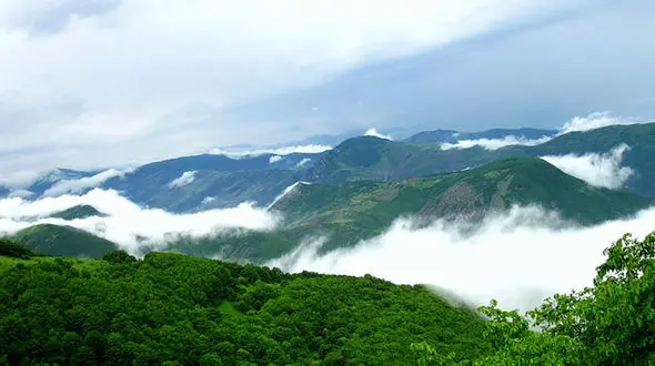  تعطیلات اینجا بروید / طبیعت زیبای جنگل های ارسباران + فیلم