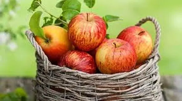 خوردنی های طبیعی که مثل مسواک عمل می کنند