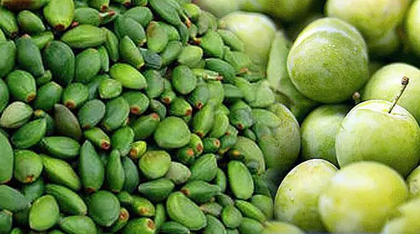 قیمت چاغاله بادام و گوجه سبز و محصولات دیگر 