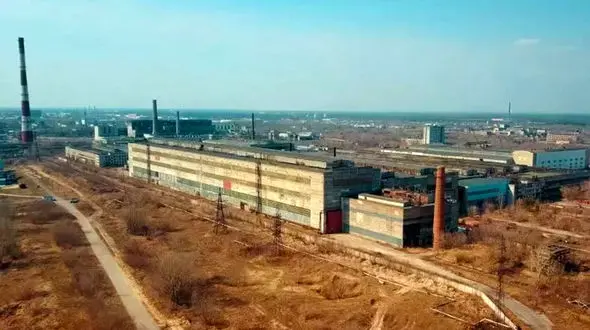 آبی شدن شگفت انگیز رنگ سگ‌ها + علت و عکس ها