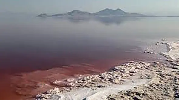 تغییر رنگ دریاچه ارومیه به دلیل تغییرات طبیعی است/ مشکلی برای سلامتی ایجاد نمی کند