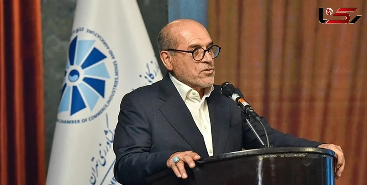 هشدار رئیس اتاق بازرگانی تهران درباره ناترازی انرژی؛ تولیدکنندگان را قربانی کمبود برق و گاز نکنید!