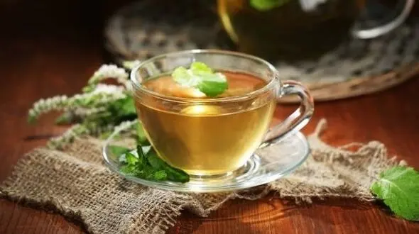 به جای آنتی بیوتیک این گیاه را بخورید/قوی ترین عفونت ها را از بین می برد