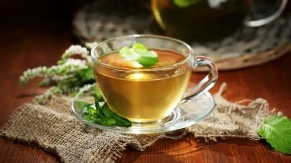 به جای آنتی بیوتیک این گیاه را بخورید/قوی ترین عفونت ها را از بین می برد