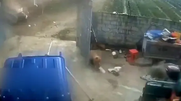 فیلم پرواز آلاچیق در آسمان چین / همه چیز به پرواز در آمد