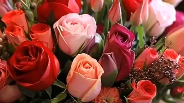 فال ابجد 24 آذر + فیلم