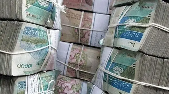 کد دستوری ۶۳۶۹ برای استعلام یارانه حمایتی اعلام شد
