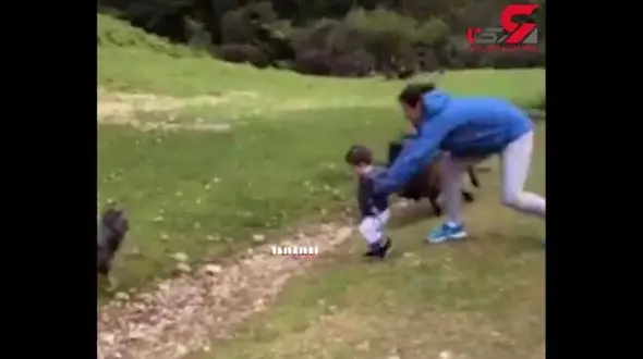 اقدام به موقع مادر برای نجات کودک یک ساله‌اش از حمله حیوان خشمگین + فیلم 