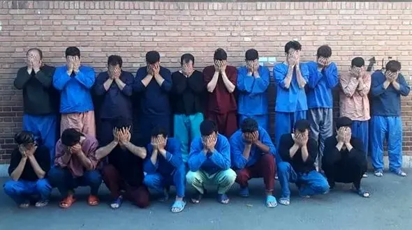 بازداشت 19 نفر سرشاخه شرکت هرمی در شهریار 