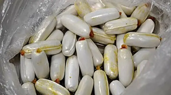 خارج کردن بسته های مواد مخدر از شکم بیمار / در اصفهان رخ داد