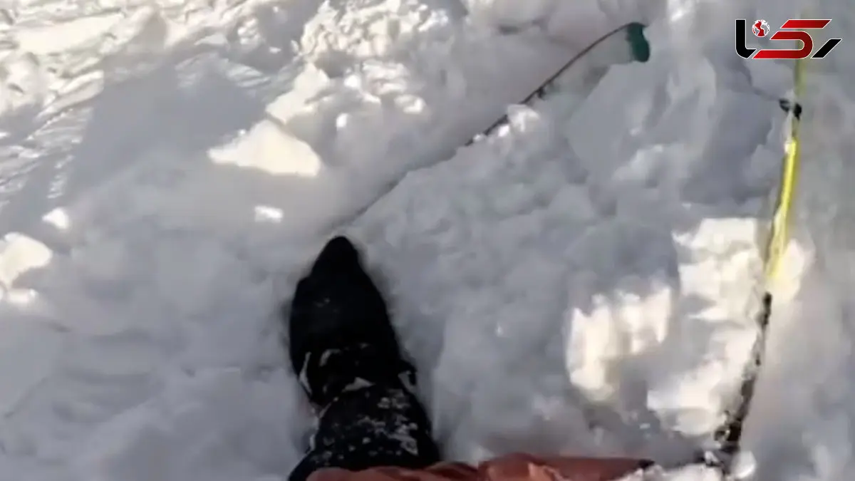 فیلم لحظه گرفتار شدن اسکی باز و سگش در بهمن
