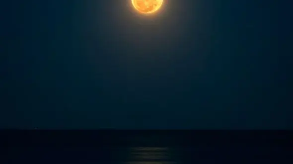 در آغوش دریا / لحظه‌ای از آرامش برای خودت