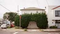 درختانی عجیب و قل قلی در سان فرانسیسکو + تصاویر