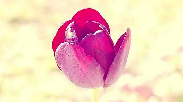 فال ابجد امروز / 25 تیر ماه + فیلم 