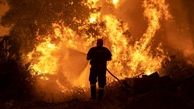 شناسایی ۲۳ نفر از افراد خاطی در آتش سوزی جنگل‌های لرستان 