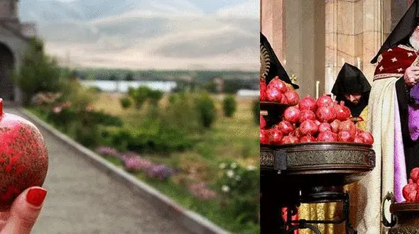 اناری که میوه زندگی یک ملت است