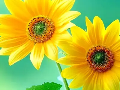 فال و طالع بینی اول آذر ماه