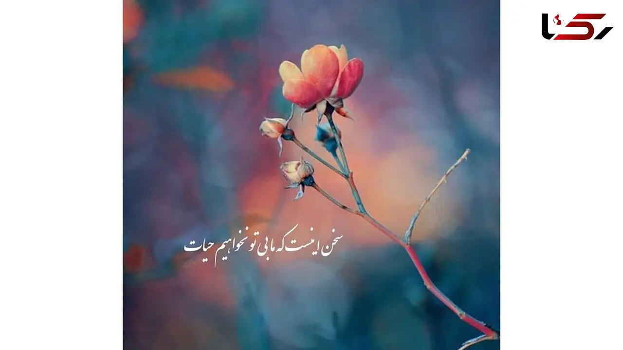 فال حافظ امروز / 20 اردیبهشت با تفسیر دقیق + فیلم