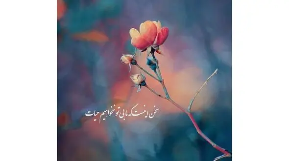 فال حافظ امروز / 20 اردیبهشت با تفسیر دقیق + فیلم