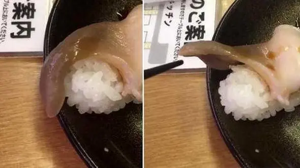 زنده شدن وحشتناک غذای مشتری رستوران، باعث سکته کردن زن جوان شد+ تصویر