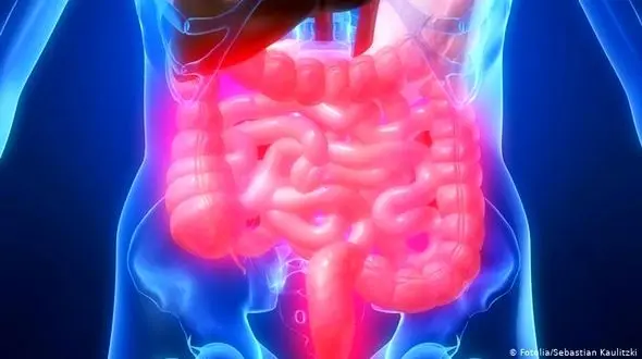 
تاثیر سرعت راه رفتن در خطر ابتلا به نوع شدید کووید ۱۹
