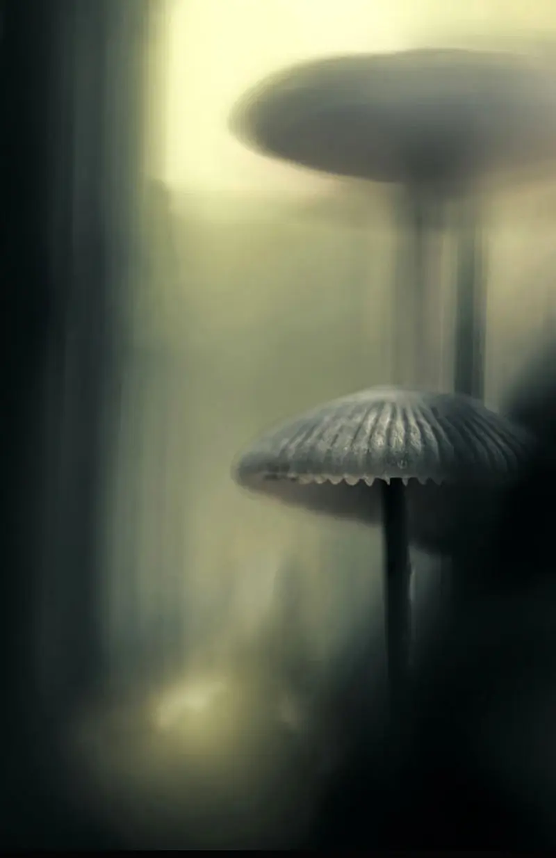 غروب خدایان