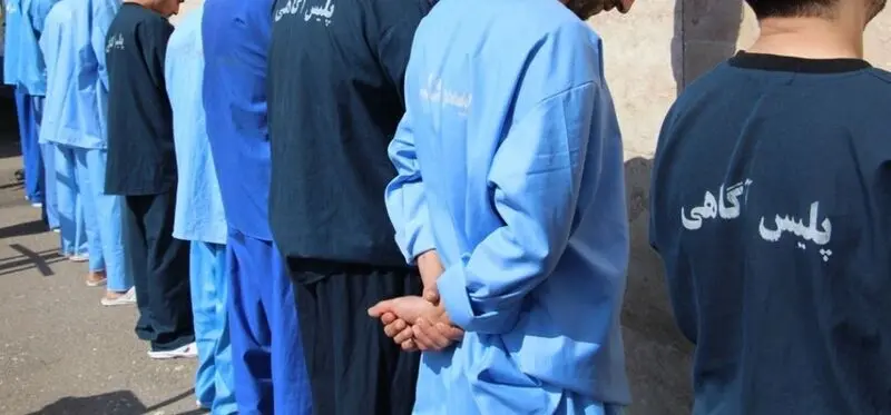 سارقان حرفه ای