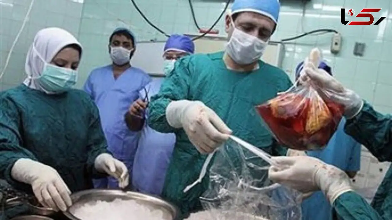 مجید در 33 سالگی جان 6 زن و مرد را نجات داد