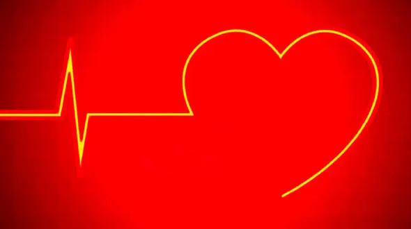 قلب سالم با 2 رژیم غذایی