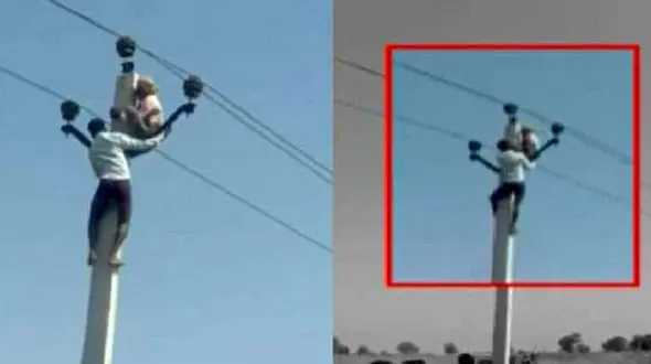 پیرمردی که برای ازدواج دوم بالای تیربرق رفت + عکس