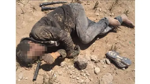 برق سارق بدشانس را بالای تیرچراغ برق خشک کرد / مرگ فجیع در جاجرم
