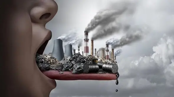 دوستی خاله خرسه مدیران گذشته هوا را برای ایرانیان آلوده کرد/ اشتباه رساندن همزمان برق و گاز به منازل 