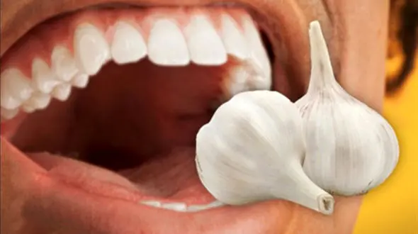 برای رهایی از بوی بد سیر چه کنیم؟