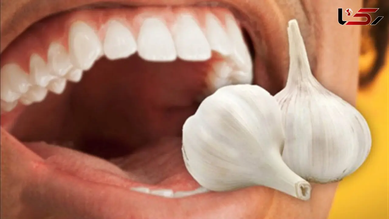 برای رهایی از بوی بد سیر چه کنیم؟