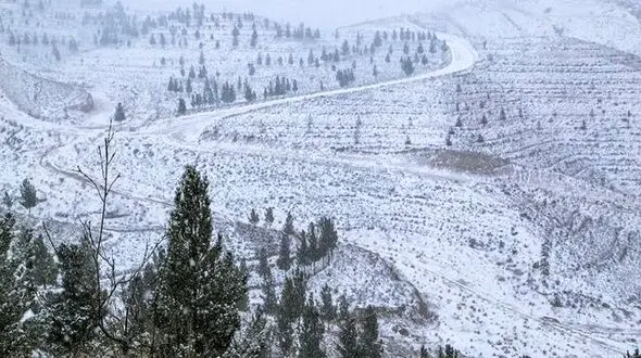  دلیل بارش های سنگین برف درترکیه چیست+فیلم