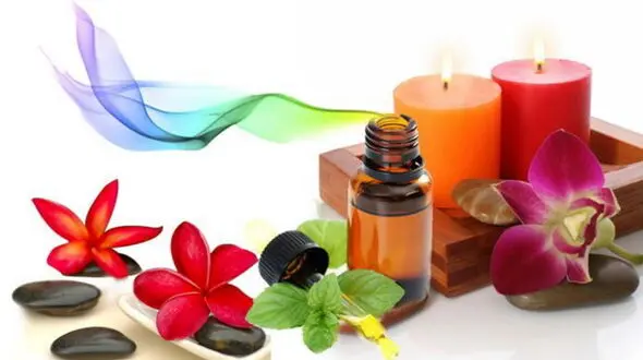 لیست روغن های معجزه گری که زیبایی تان را تضمین می کنند/راز پرپشت شدن موهای سر
